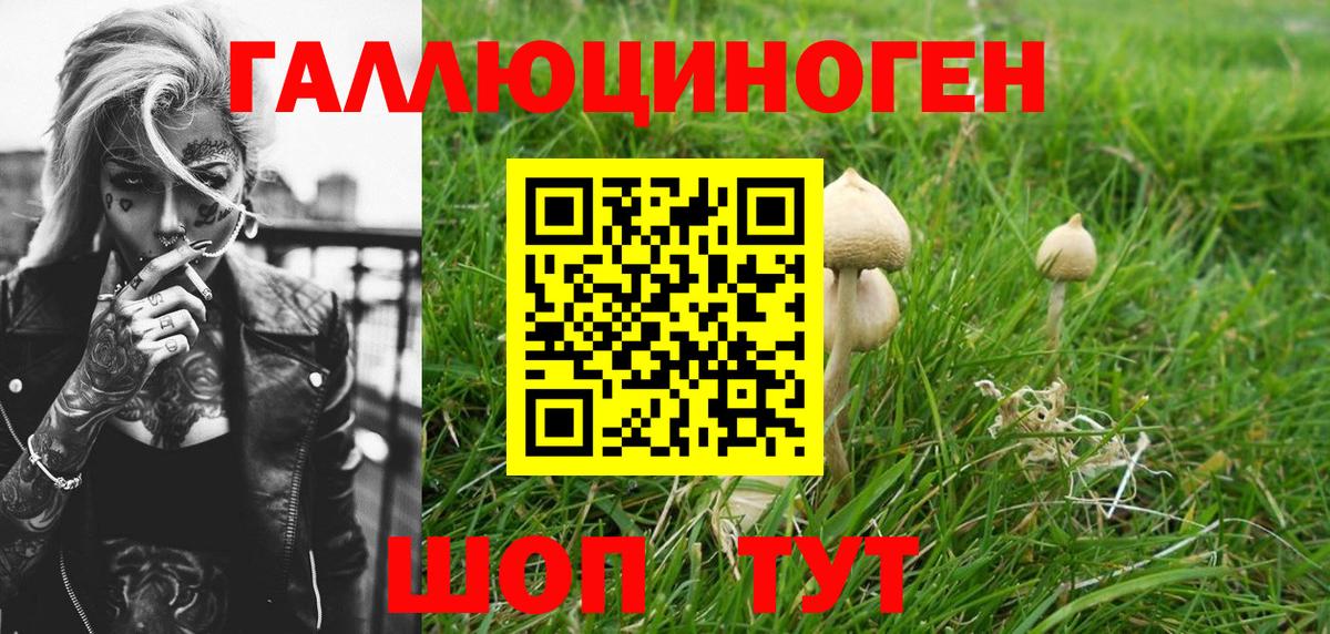 Кувандык  Галлюциногенные грибы ЛСД  купить наркотики цена  Вход с VPN 
